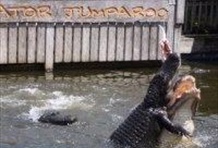 Gators, Gators, Gators! Tour